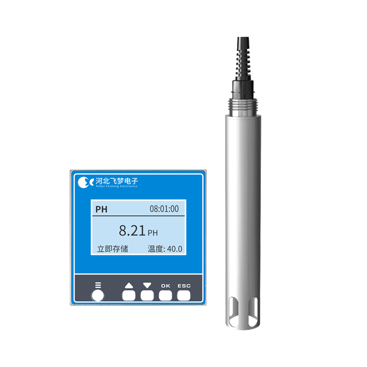 FM-ZX-PH在線PH監(jiān)測(cè)儀